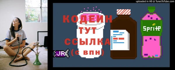 спиды Арсеньев