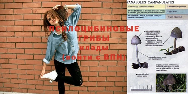 кокаин колумбия Аркадак