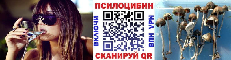 Галлюциногенные грибы ЛСД  купить наркоту  Тавда 